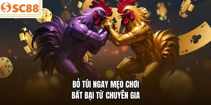 Bỏ túi ngay mẹo chơi bất bại từ chuyên gia
