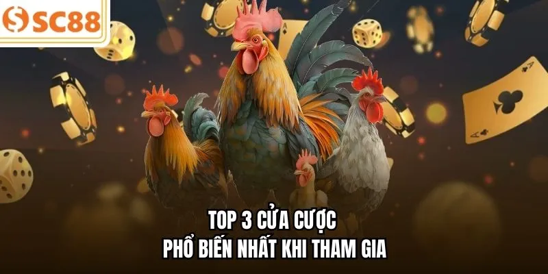 Top 3 cửa cược phổ biến nhất khi tham gia